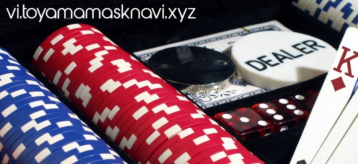 vi.toyamamasknavi.xyz